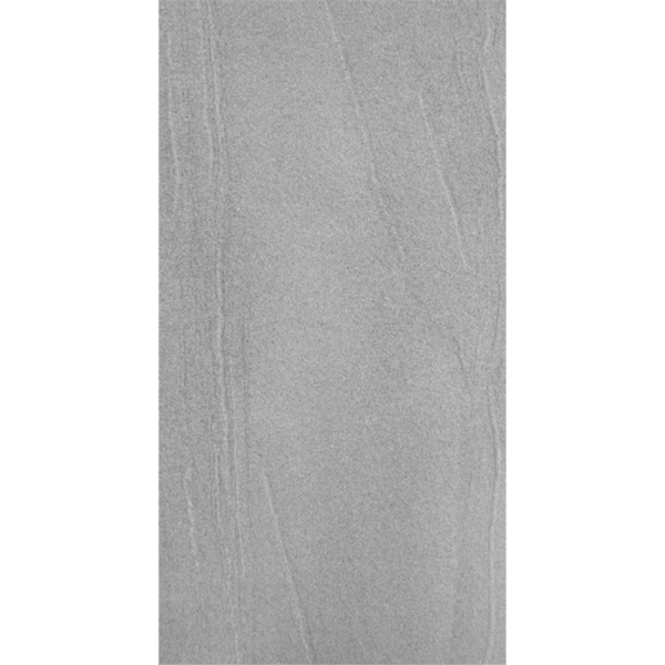 C447 - Image 2